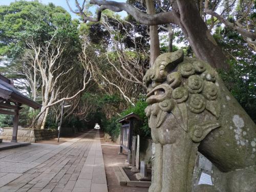 酒列磯前神社の樹叢は真夏も涼しく、緑のコキアはかわいく、海鮮丼でない海鮮丼、とむとむサイフォン珈琲☆