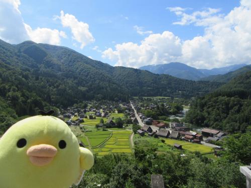 岐阜県　高山と白川郷を たびするトリ