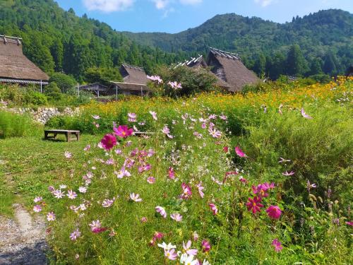 関西をぐるっとドライブ。滋賀～福井～京都～兵庫を反時計回りで巡る旅