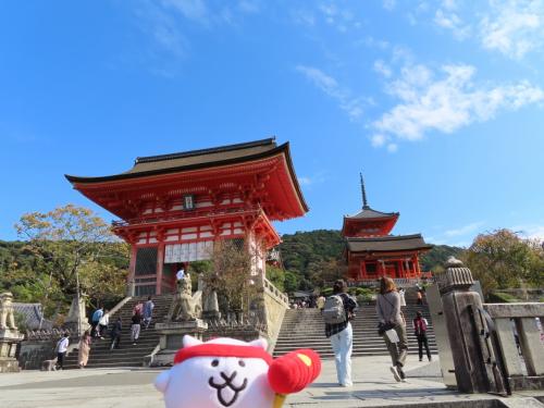 【2022.10】京都に行ってきたにゃ！（八坂神社、高台寺、清水寺、三面大黒天、圓徳院）