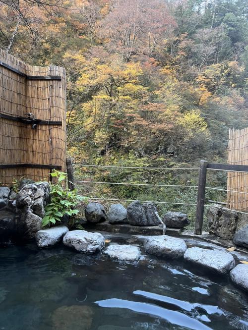 2022年11月　黒部トロッコ列車・名剣温泉（秘湯）紅葉の旅