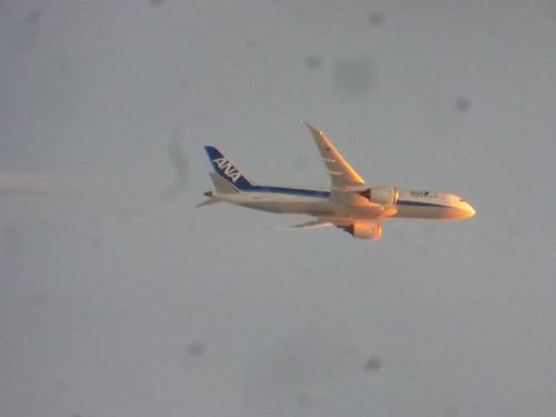 ANA＆JALの特典航空券で行く 東京１泊旅【途中でＡＮＡ機に追い抜かれた、ＧＫ５１５便（Ａ３２０） 成田～福岡間搭乗編】