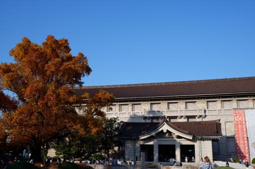 上野の秋 ～東京国立博物館～