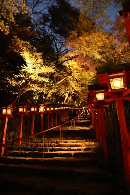 2022年11月　秋の京都　嵐山・嵯峨野トロッコ列車と貴船神社