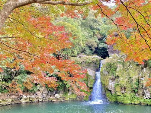 鹿児島の秋を愛でる「 曽木発電所遺構展望公園・曽木の滝・観音滝」