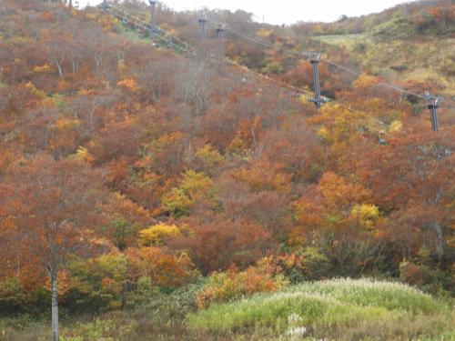 谷川岳の紅葉狩り（２）　天神平及び天神峠で紅葉狩り