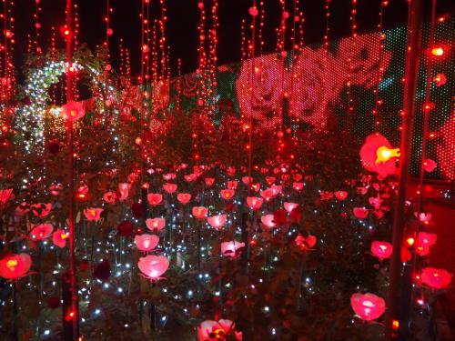 ローズガーデンのイルミネーションがリニューアルされた、あしかがフラワーパーク「光の花の庭」へ