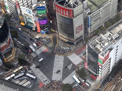 日本初上陸のキンプトン！新宿の真ん中でマンハッタン流ホテルステイを楽しむ♪SHIBUYA SKYとMIYASHITA PARK