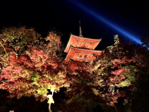 4トラ活動再開記念！？紅葉の京都へ！1日目は町家のステキなお宿と清水寺ライトアップ♪
