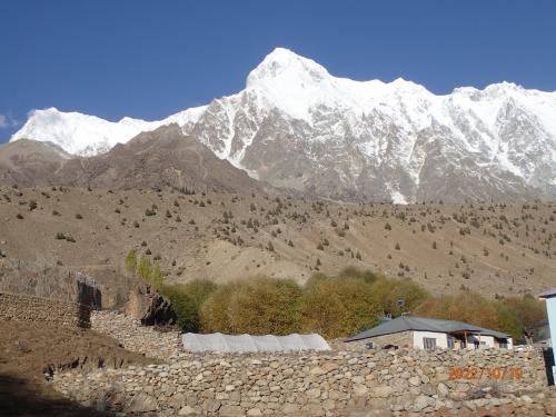 北部パキスタン放浪記（８）；フンザからナンガパルバット山麓へ・タリシングとルパール散策