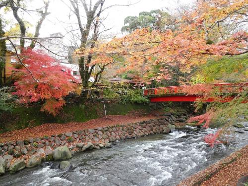 時の回廊を旅して vol.2 ～紅葉の修善寺 北条と源氏ゆかりの史跡巡り