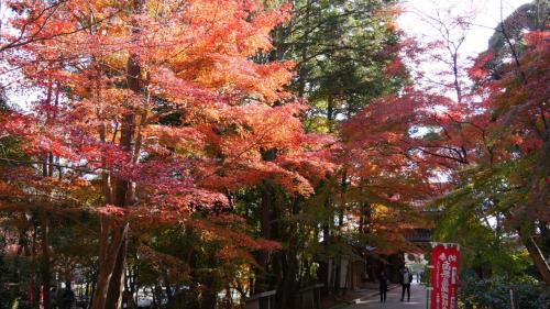 旧宿場町と廃線跡　　静岡県袋井市まわり