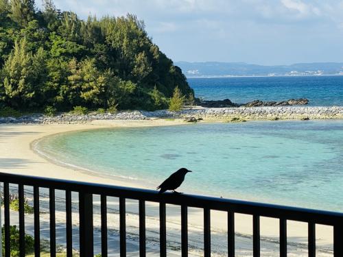 2023年3月 春の沖縄でリゾート満喫「ザ・テラスクラブアットブセナ」