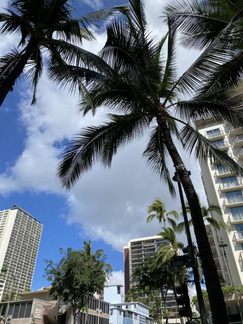 女子旅（親子孫0歳8か月）ハワイ2023　1日目