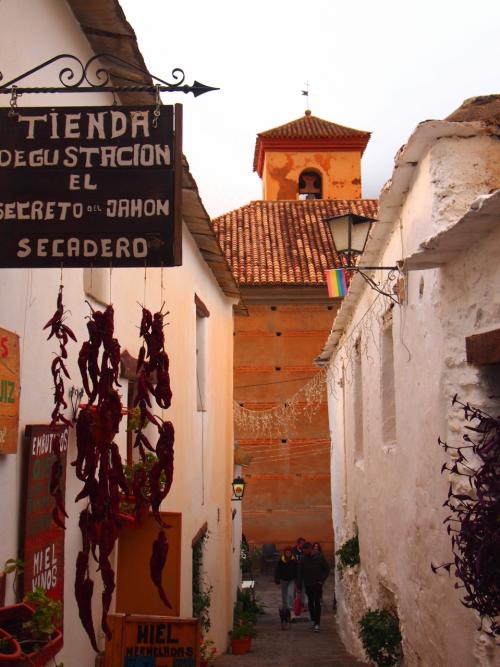35年ぶりのスペイン旅（5）思い出の街グラナダ散策＆アルプハラ地方の煙突のある天空の白い村々を簡単なトレッキング