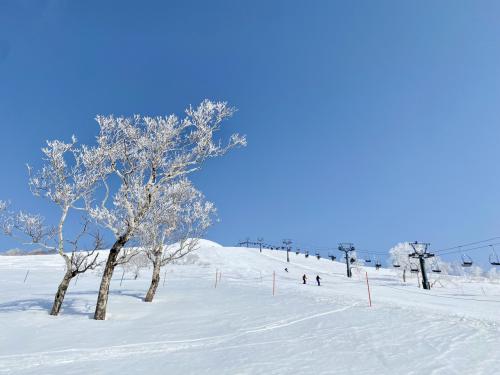 ニセコアンヌプリ国際スキー場 6回目滞在記 2023.3 (1) ホテル・ふじ鮨・ゲレンデ 