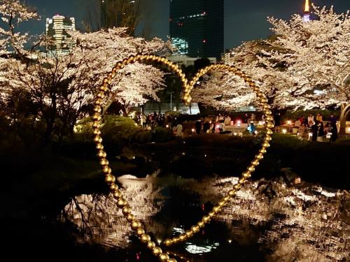 東京の桜の風景 2023