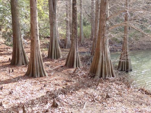 23年九州ツーリング　7日目　篠栗九大の森から呑山観音寺・南蔵院へ行きました。