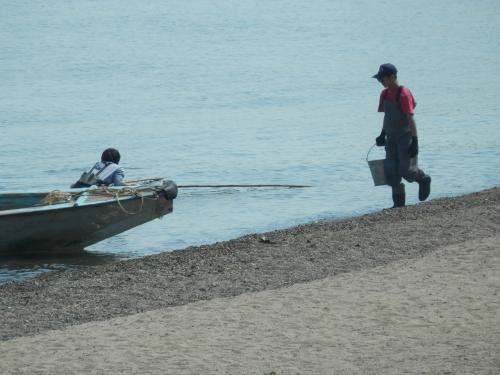 琵琶湖　湖西の春らんまん