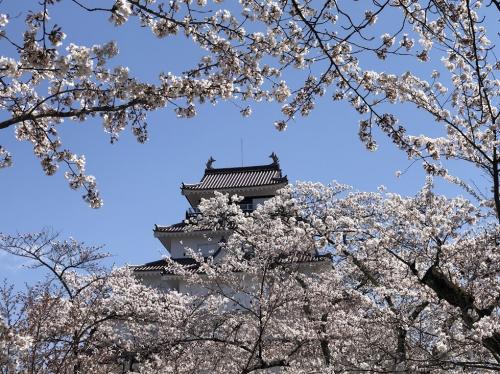 2023年4月春休み 特撮と桜とお城を愛でる福島家族旅行その2