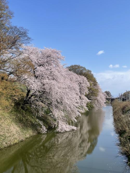 2023年3月　「どこかにビューーン！」で行く山形の旅 