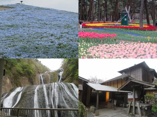 関西人が関東方面に旅行してみたら！前編（国営ひたち海浜公園＆袋田の滝＆偕楽園）