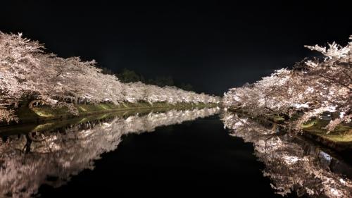 【2023弘前さくらまつり】弘前城の桜を何が何でも見に行く強行旅