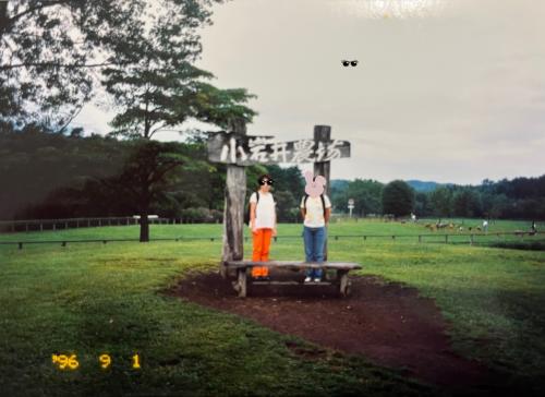 岩手県　1996年の夏(渡航履歴を塗りつぶす)