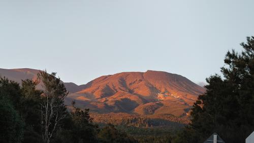 ニュージーランドでクルーズ＆トレッキングの旅⑤