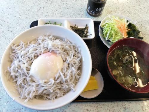 たまにはベタなギャンブルめし2303　「ボートレース鳴門で、なるちゅるうどん＆釜揚げしらす丼＆金ちゃんヌードル」　～鳴門・徳島～」