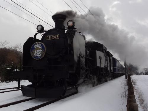 冬の鬼怒川温泉保養旅・その1.東武鉄道株主優待券&amp;雪上を走る蒸気機関車を眺めたよ