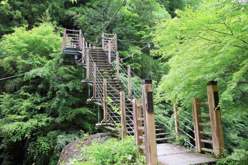 新緑の大柳川渓谷で吊り橋ハイキングの巻① in 山の湯