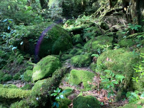 屋久島旅行　3日目（最終日）