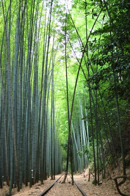 旧国鉄倉吉線の廃線跡散策