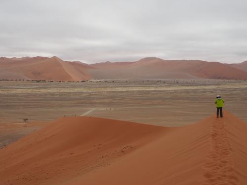 ナミビア周遊（５/６）　砂丘三昧のナミブナウクルフトN.P.（１）「Dune 45」