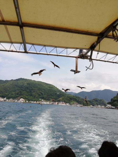 リハビリ駿河湾クルーズ＆メロン狩りバスツアー