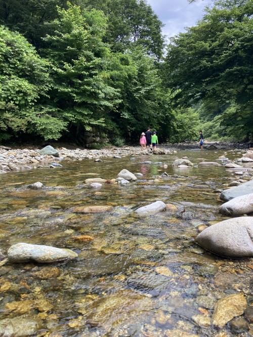 ８・１０歳児連れ、毎年恒例、猿ヶ京の別荘で日本の夏休み