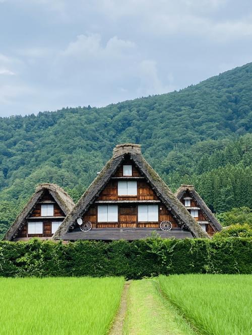 世界遺産を見に行くぞ＆ついでにアートにも触れて食べ歩きの旅♡