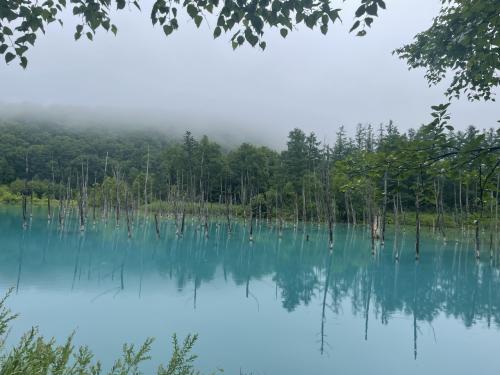 涼しい北海道