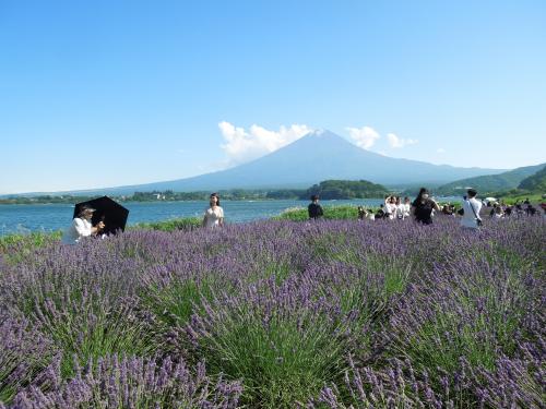 夏の富士五湖観光ドライブ②河口湖・大石公園にて