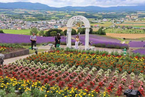 wedding photoで人気の上富良野・日の出公園・フラワーランド、美瑛ぜるぶの丘