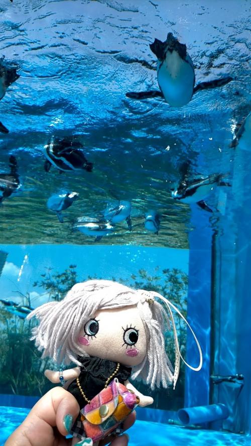 サンシャイン水族館と東京で過ごす1日。１８切符編
