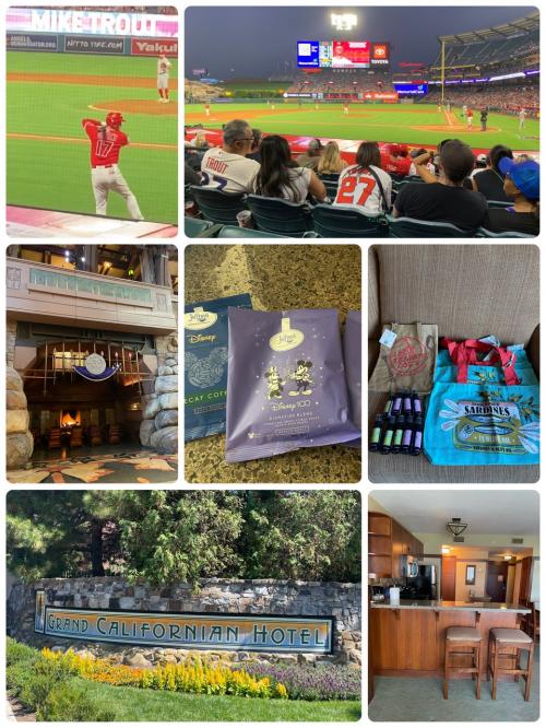 2023夏アナハイム（エンゼルス戦観戦＆100周年Disney）3世代旅行④ パーク・買い物・野球
