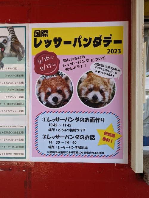 【レッサーパンダ遠征記】IRPD2023（２）三年越しの参戦！宮崎市フェニックス自然動物園のレッサーパンダデー