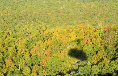 錦秋の大雪 あの感動をもう一度　（２）三国峠・旧幌加駅まで遠征＆黒岳の紅葉