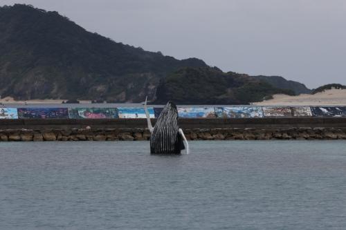 沖縄　慶良間　クジラを見たい！