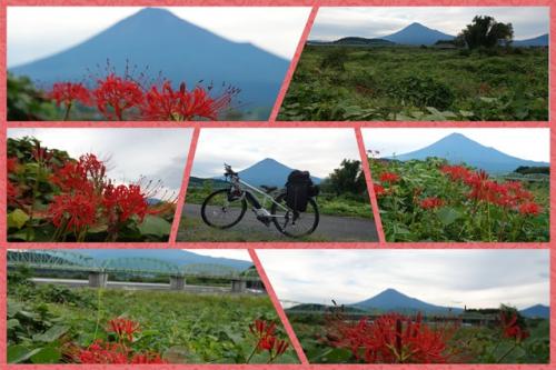 自転車でGO! 2023.09.24＝富士川をポタリング＝