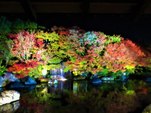 姫路城を望む日本庭園「好古園」の紅葉&#127809;ライトアップ　2022/11/27～28