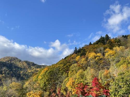 トクたびマイルで秋のビューバス三昧！豊平峡温泉&amp;CP札幌、remm+三宮、奥芝スープカレー