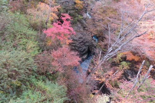 秋の群馬！伊賀野の花畑とロックハート城、吾妻渓谷。